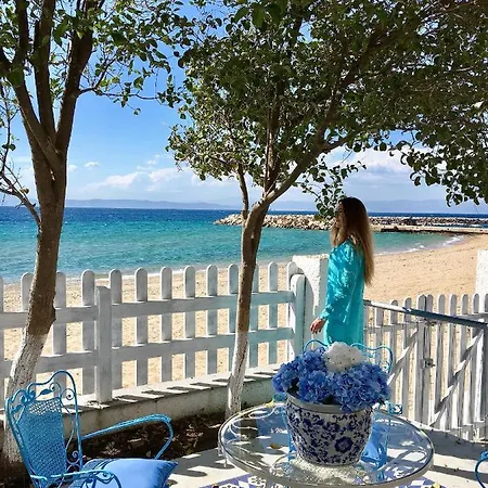 Exquisite Thassos Mare 4 Bedroom Private Pool 别墅 *